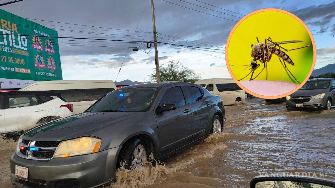 Pronostican ‘plagas extremas’ de insectos y bichos durante el fin de semana en Saltillo y zonas de Coahuila