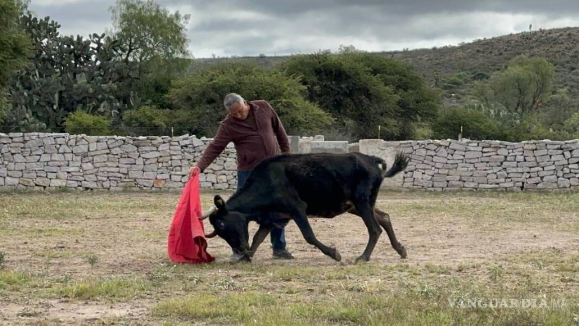 Ex novillero y empresario interponen amparo para que General Cepeda autorice corrida de toros, aunque sea ‘a la portuguesa’