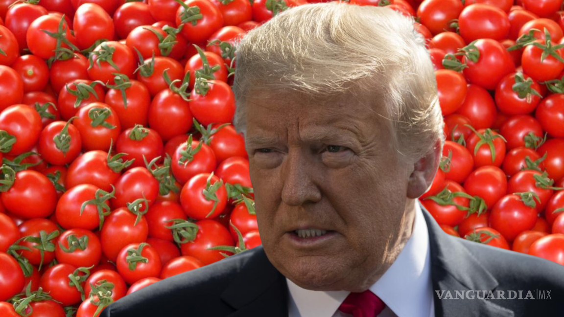 Competencia de Tomates; Trump impone arancel del 20.91% a tomates mexicanos