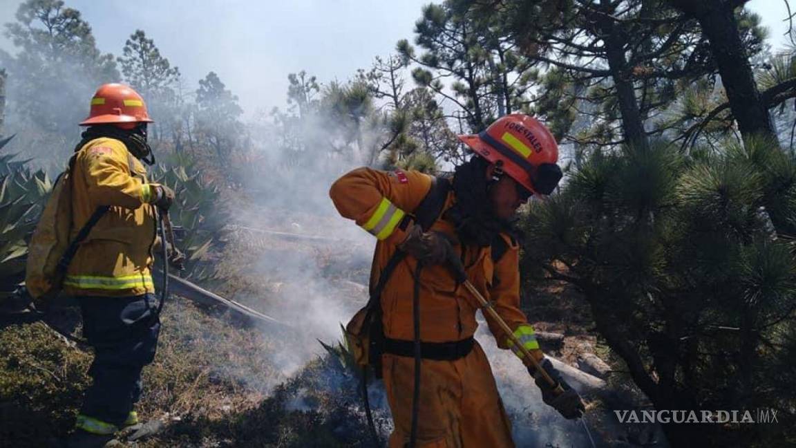 Aplicarían multas superiores a 100 mil pesos en Sierra de Arteaga por encender fogatas