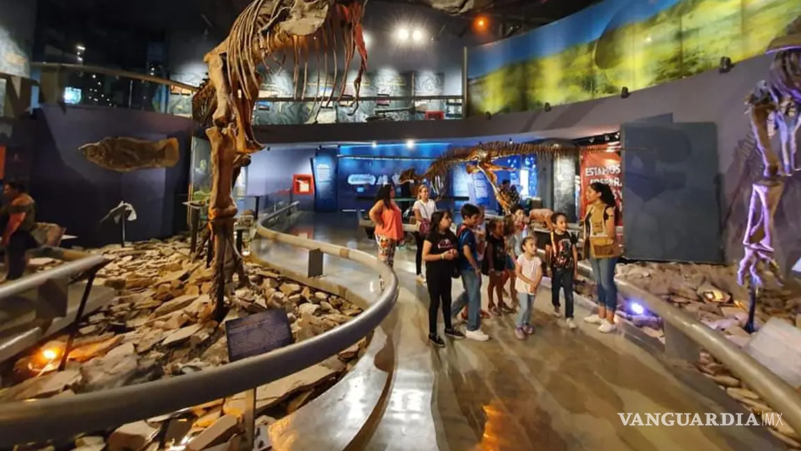 $!Visitantes recorren las salas del Museo del Desierto en Coahuila, uno de los más concurridos del estado.