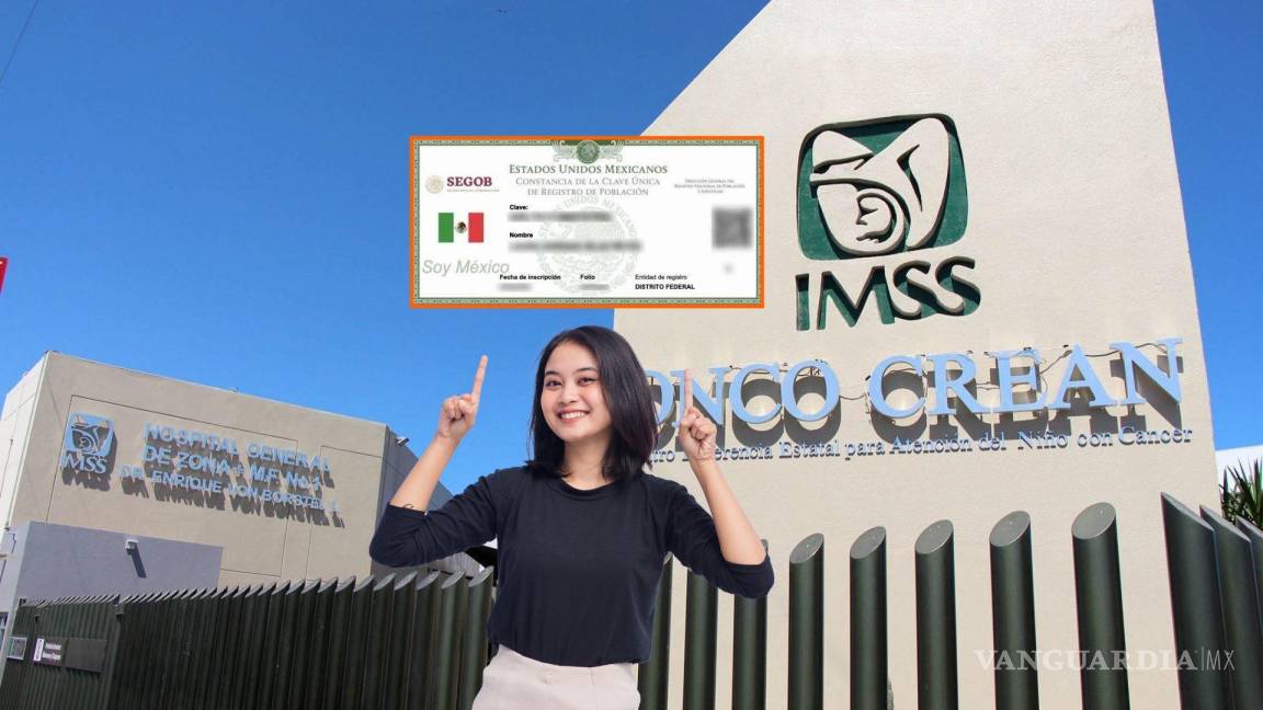 ¿Tienes CURP? Así puedes darte de alta en el IMSS sin complicaciones