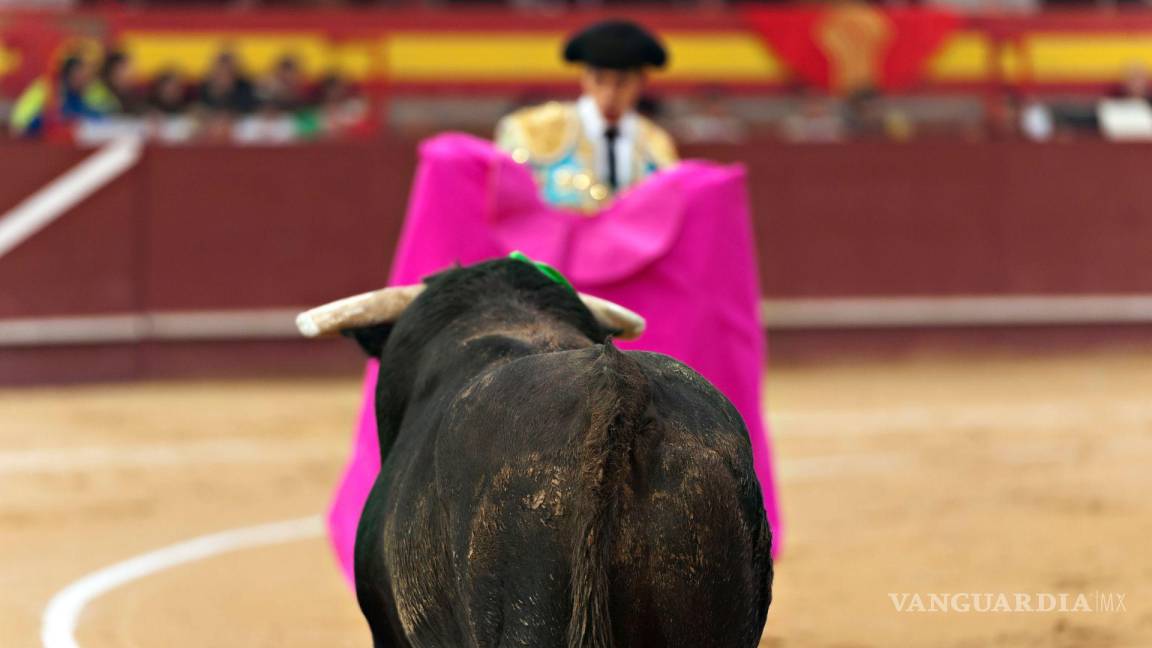 ¿Regresan las corridas de toros a Coahuila? SCJN podría declarar inconstitucional su prohibición