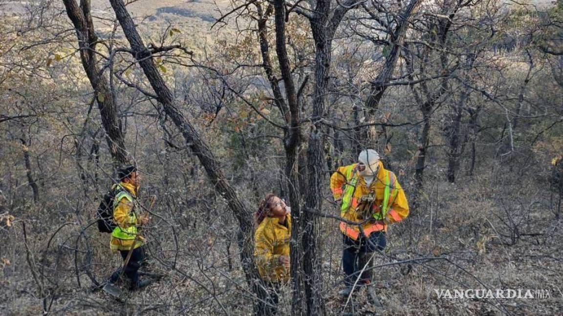 ‘Gran trabajo’; aplauden a bomberos, brigadistas forestales y cuadrillas por rápido control de incendio en la Sierra de Zapalinamé