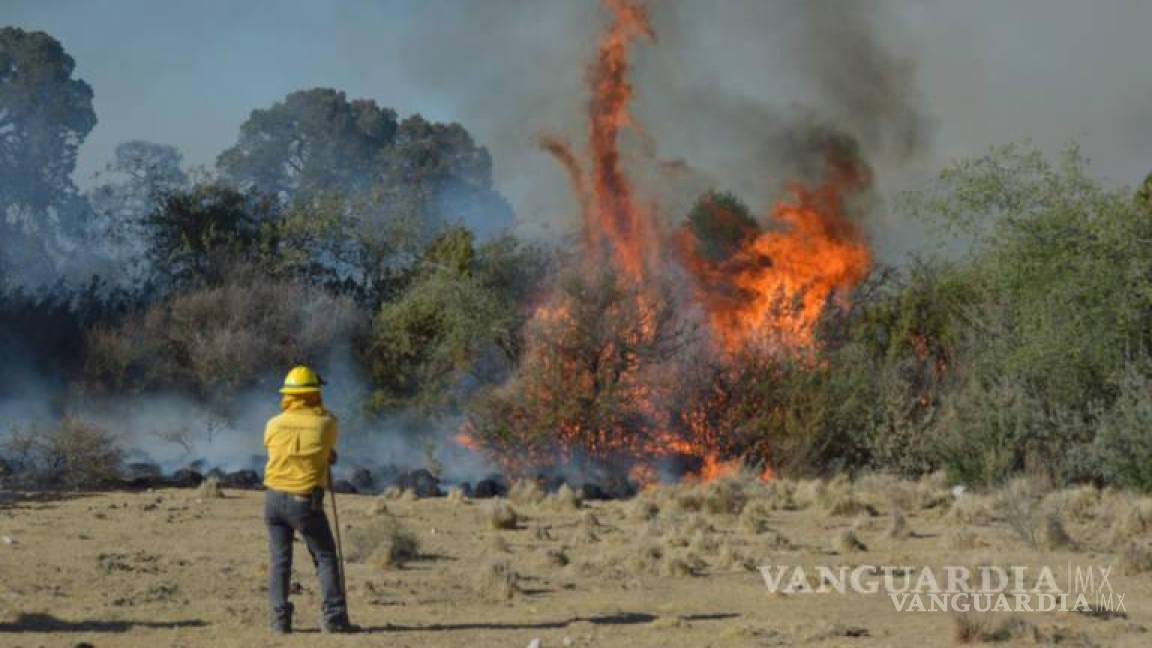 Coahuila en riesgo... se encuentra entre los estados con alto nivel de sequía y en peligro de incendios