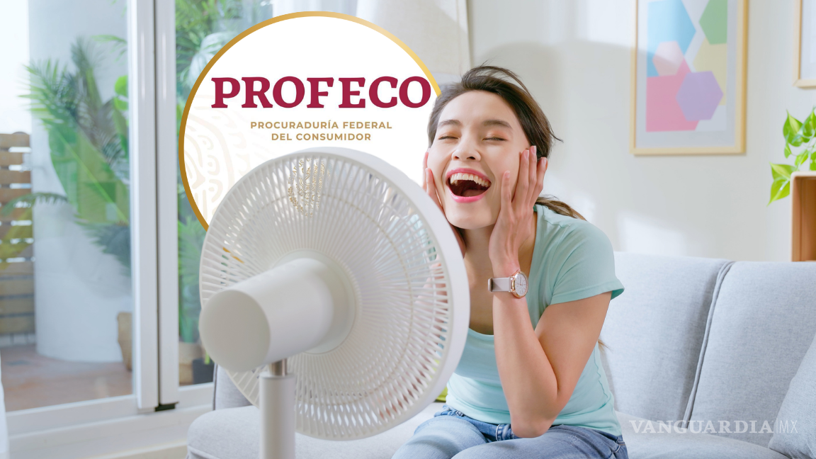 ¿Cuál es el mejor ventilador para refrescarte este verano? Profeco reveló los que cumplen con excelencia