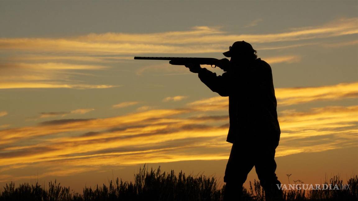 $!El top 10 de los animales más letales del mundo... el número 1 te sorprenderá