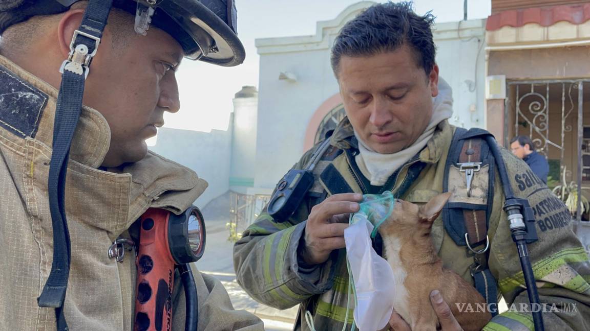 Salvan a perrito de las llamas tras incendio de su casa, al poniente de Saltillo