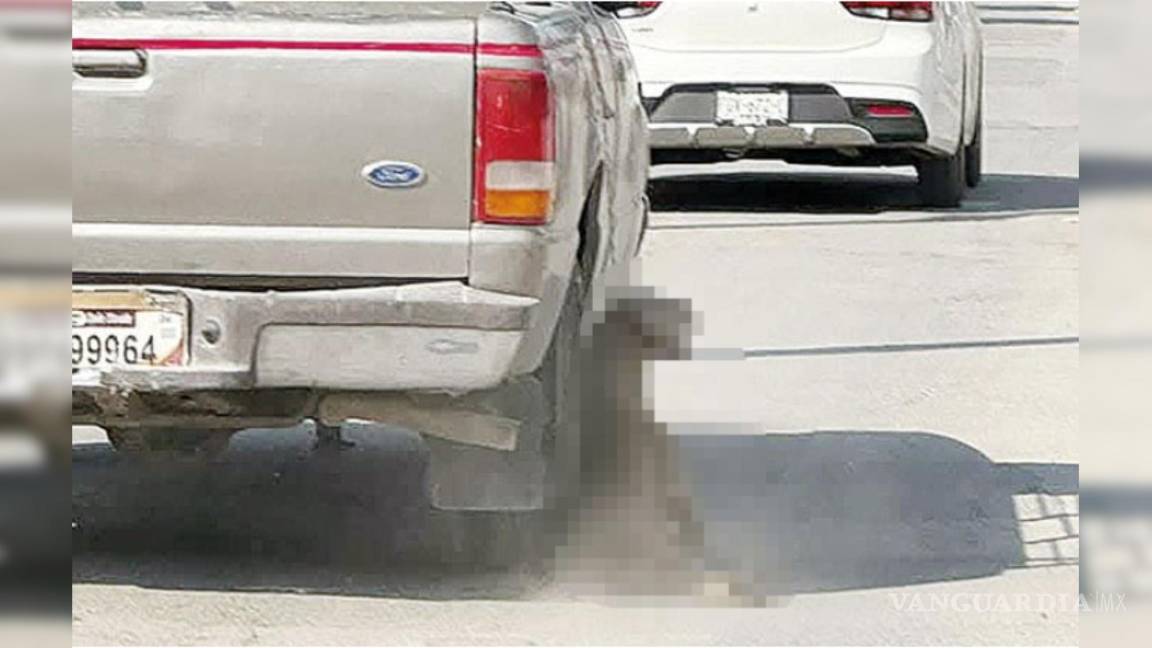 Difunden video de perro arrastrado por camioneta en Frontera; autoridades buscan al responsable