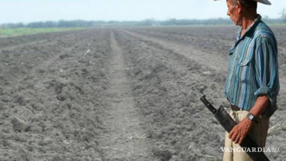 $!Coahuila se posiciona en el top de las entidades con más pérdidas en el agro, debido a la sequía.