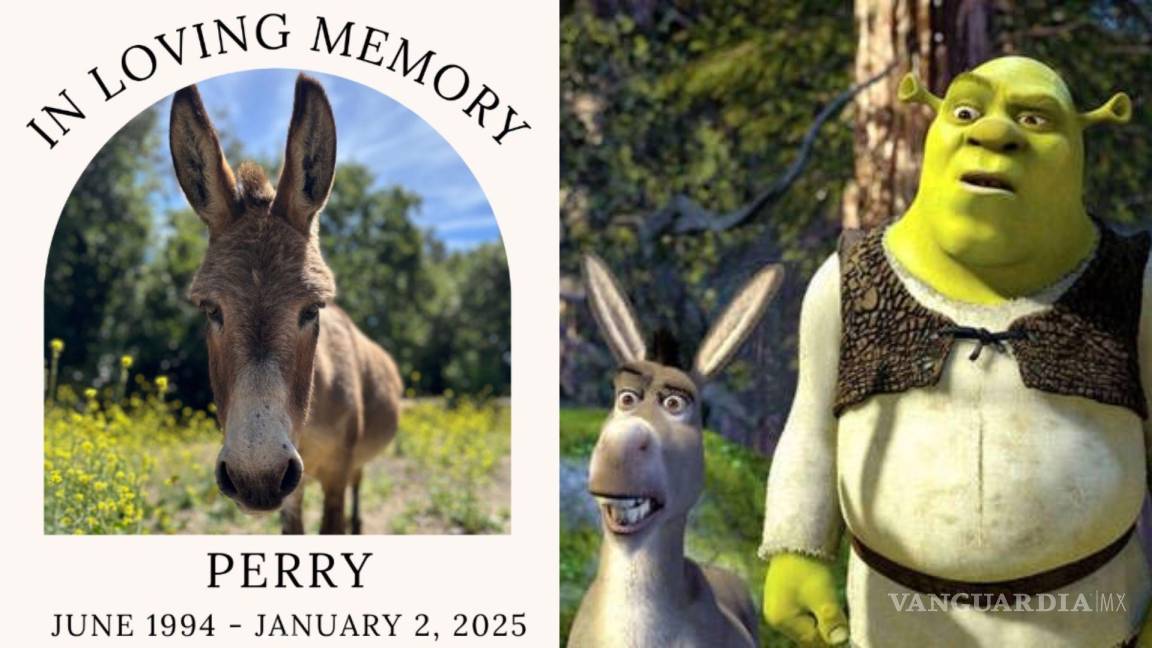 ¡Shrek está de luto! Fallece ‘Perry’, burro que inspiró al famoso personaje de Eugenio Derbez