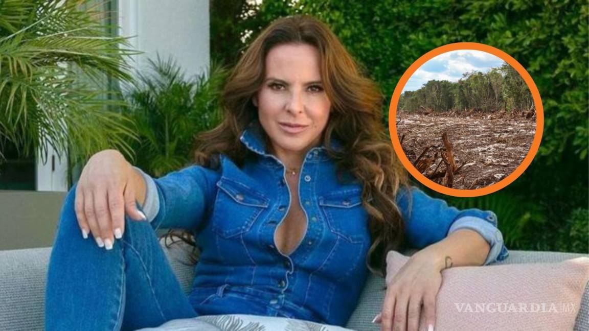 Revela Kate del Castillo que siente ‘frustración’ por reactivación del Tren Maya