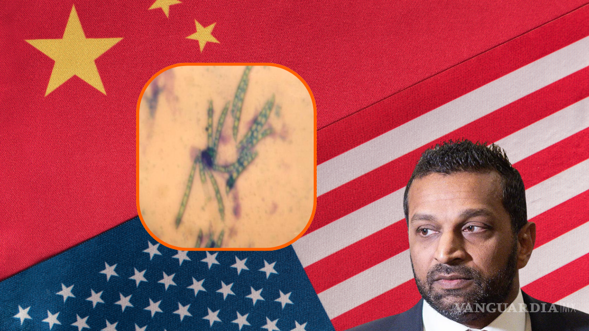 Autoridades de los Estados Unidos acusan a ciudadanos chinos de meter un peligroso agente biológico