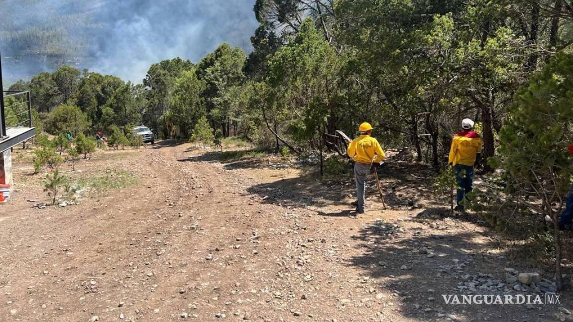 Indaga FGE con drones causas de fuego forestal en la sierra La Encantada en Arteaga