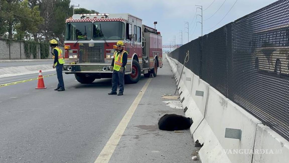 $!Bomberos abanderaron la vialidad.