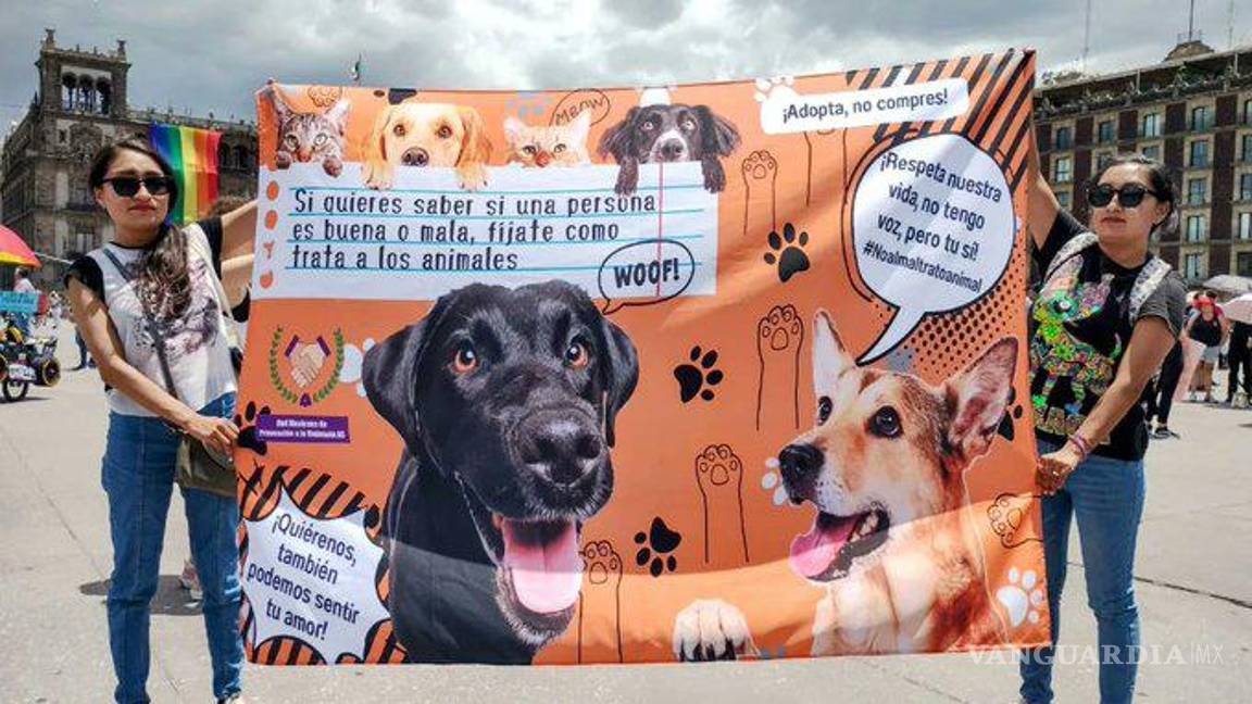 $!Entre las demandas de los manifestantes estaban que los animales sean considerados seres sintientes en la Constitución