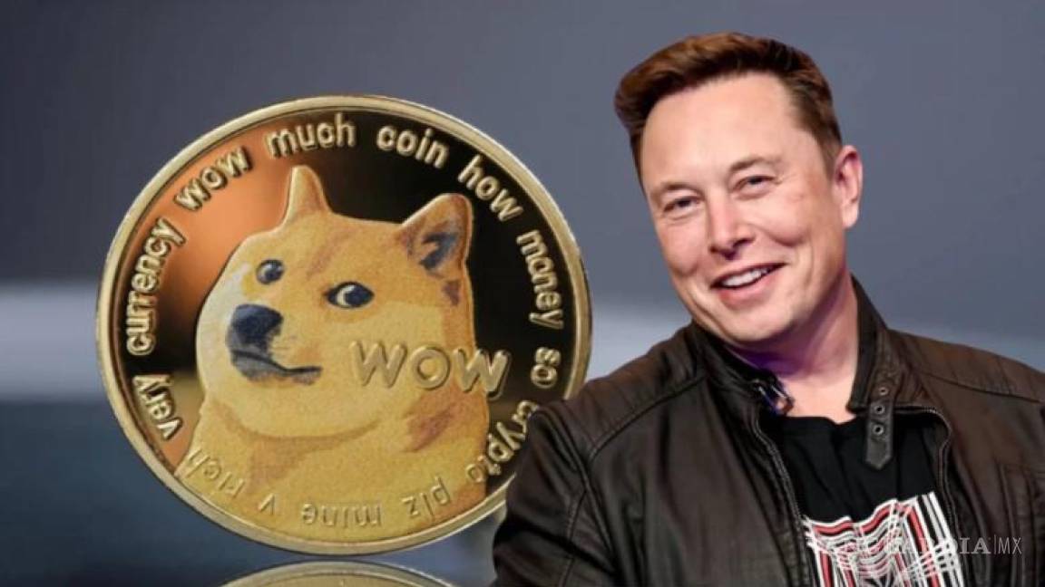 Elon Musk sigue comprando dogecoin a pesar de la caída de la criptomoneda