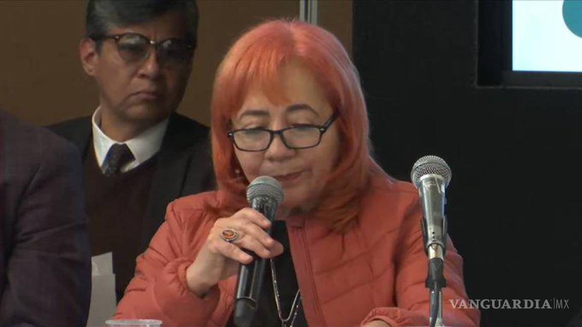 Rosario Piedra defiende actuar de CNDH contra INE ante diputados, niega intervención de AMLO