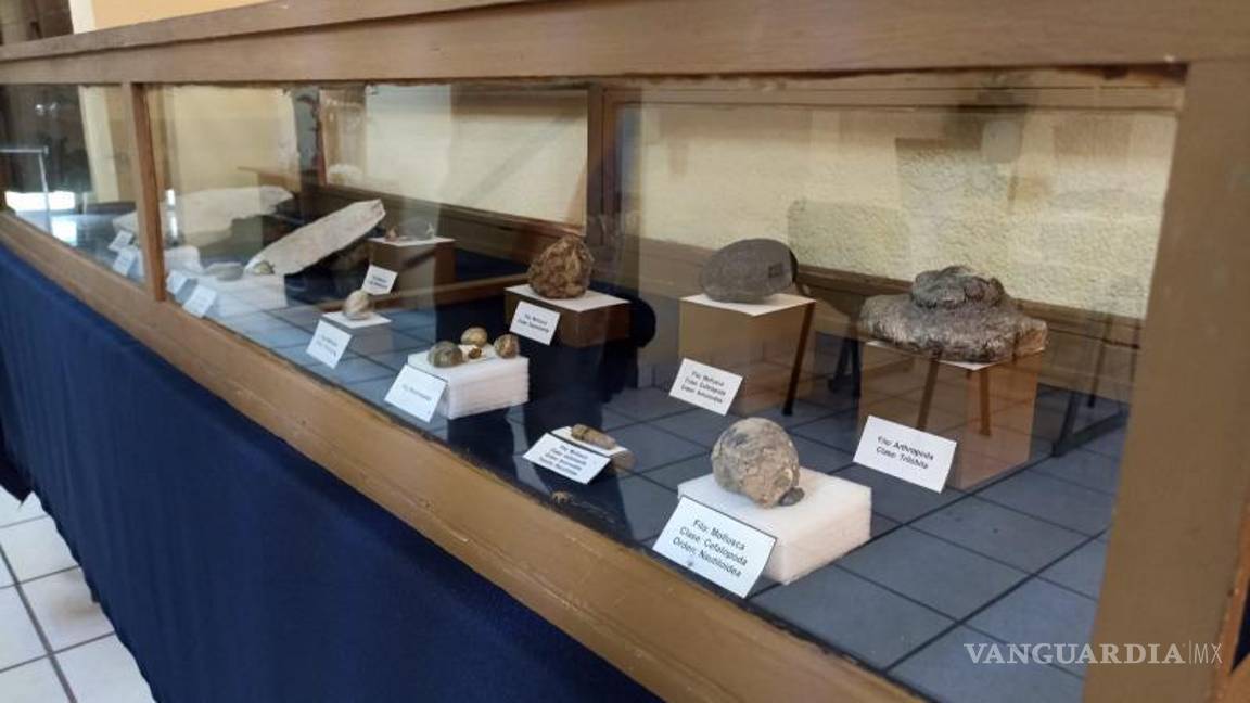 $!“La paleontología es un mundo muy hermoso y del cual se pueden aprender muchas cosas. Yo he dedicado toda mi vida a esto y me alegra hacerlo”, concluyó la doctora.