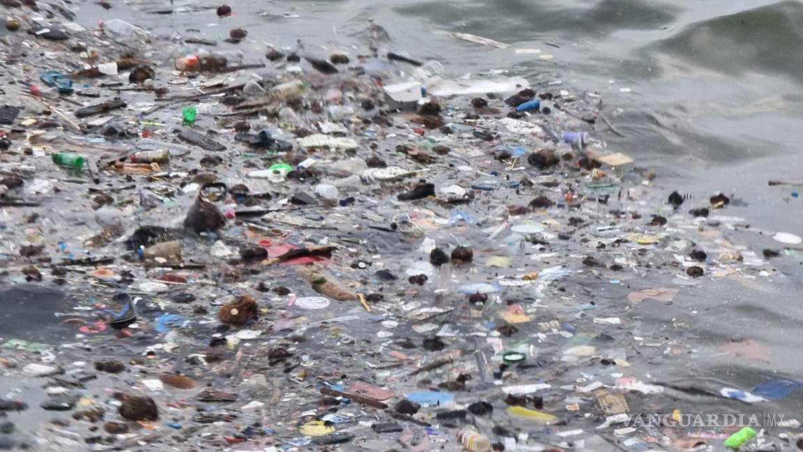 Por primera vez un estudio precisa que hay 11 millones de toneladas de plástico cubren el fondo marino