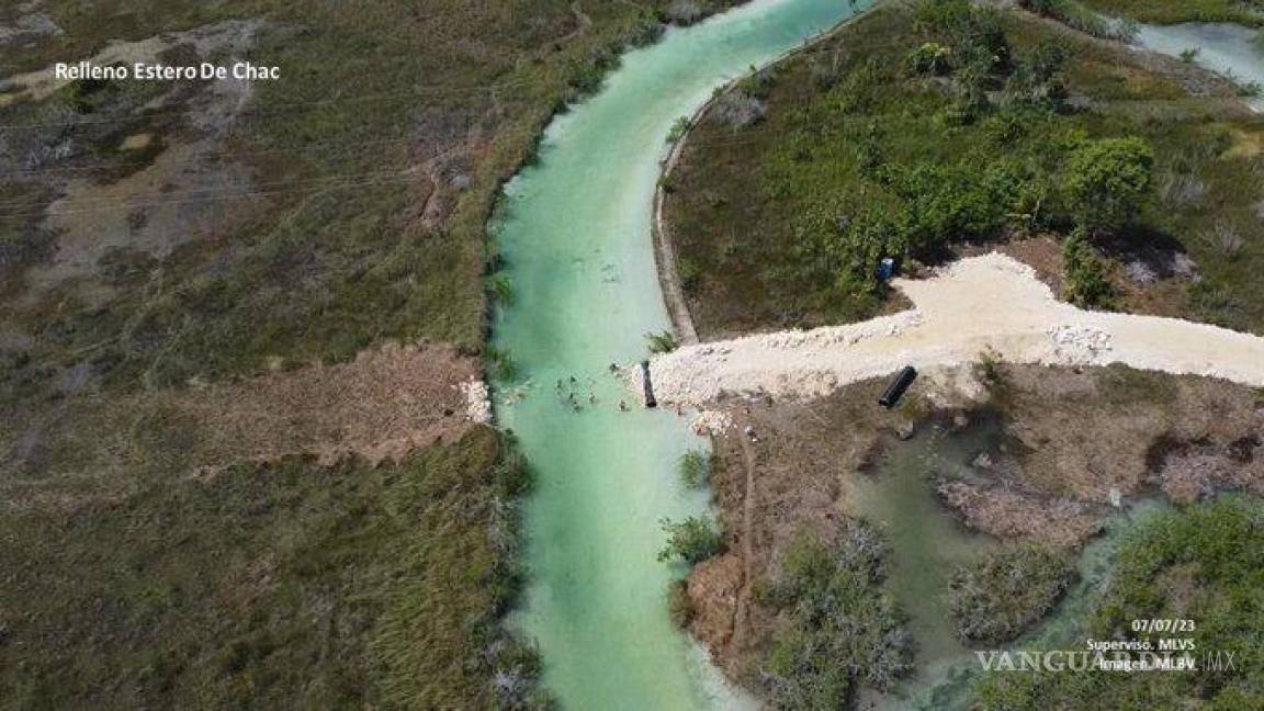 Sedena suspende obras del Tren Maya en Quintana Roo, tras afectación al Estero de Chac