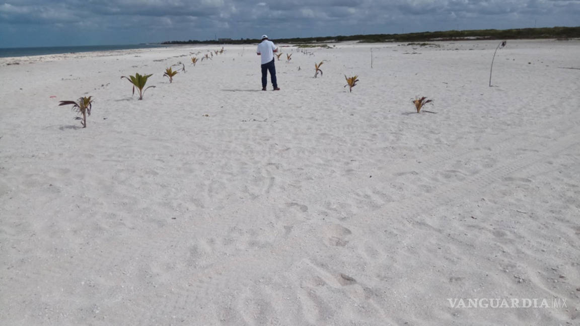 Acusan privatización de playa en Yucatán