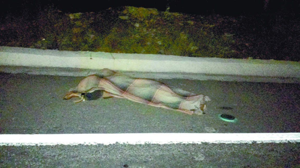 Muere hombre atropellado en la carretera a Zacatecas