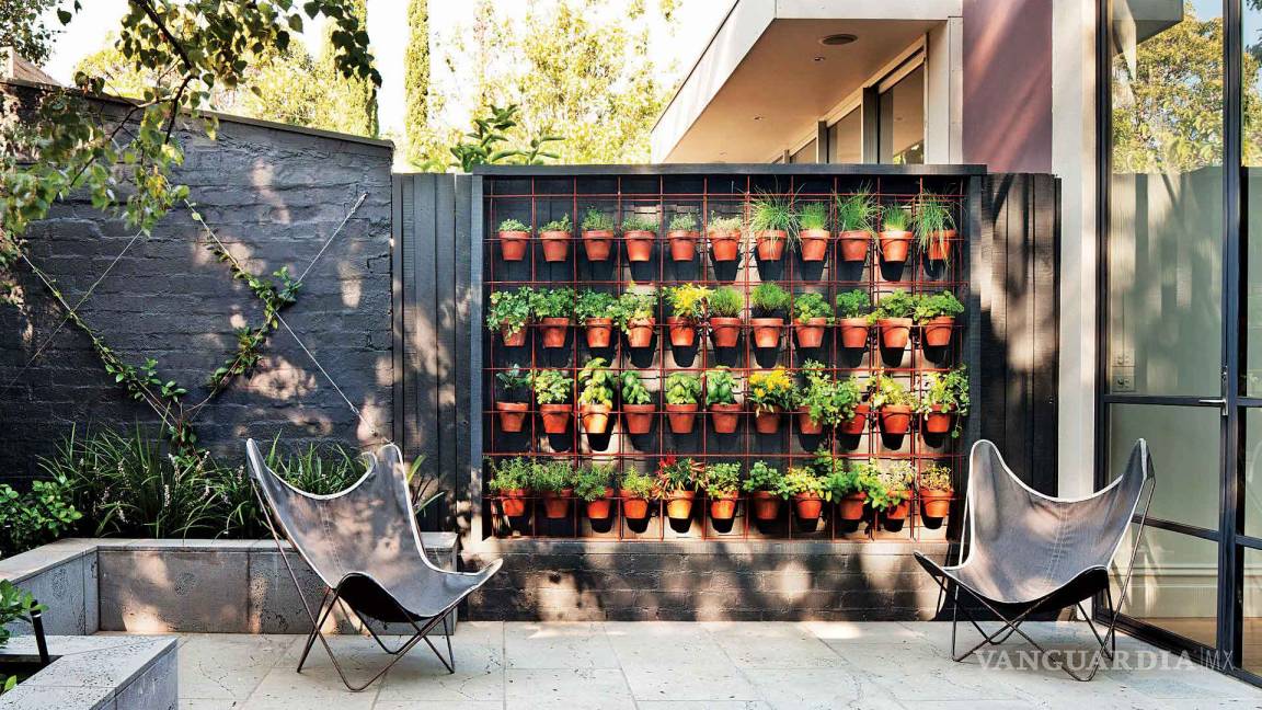 $!¿Te gustaría consumir productos naturales y cuidar el medio ambiente? ¡Haz tu propio huerto en casa!