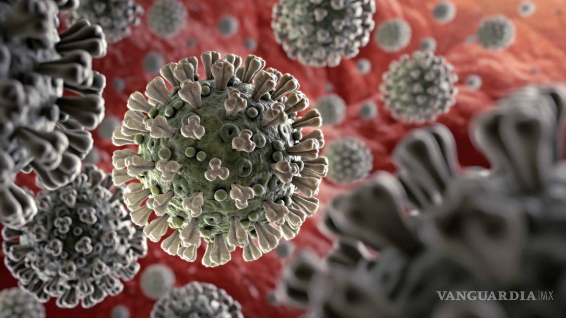 Científicos mexicanos identifican secuencia del genoma del coronavirus