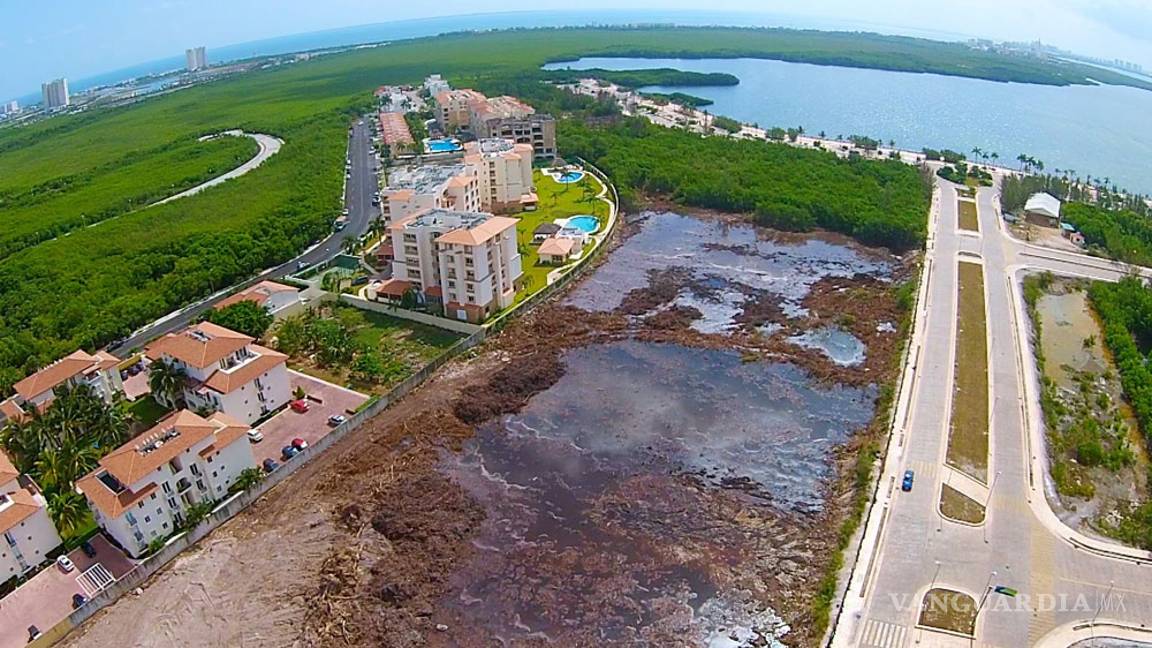 $!Semarnat lamenta situación de Tajamar, pero el proyecto ya no se puede echar atrás