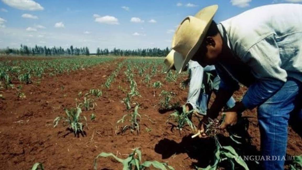 Reclaman productores agrícolas a Gobierno Federal por ‘falsas promesas’ en Acuña