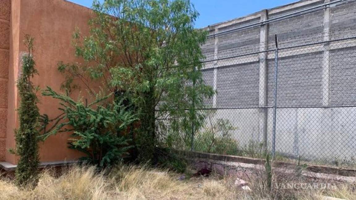 $!Al 'estilo Chapo' doce se escapan del penal de Cieneguillas