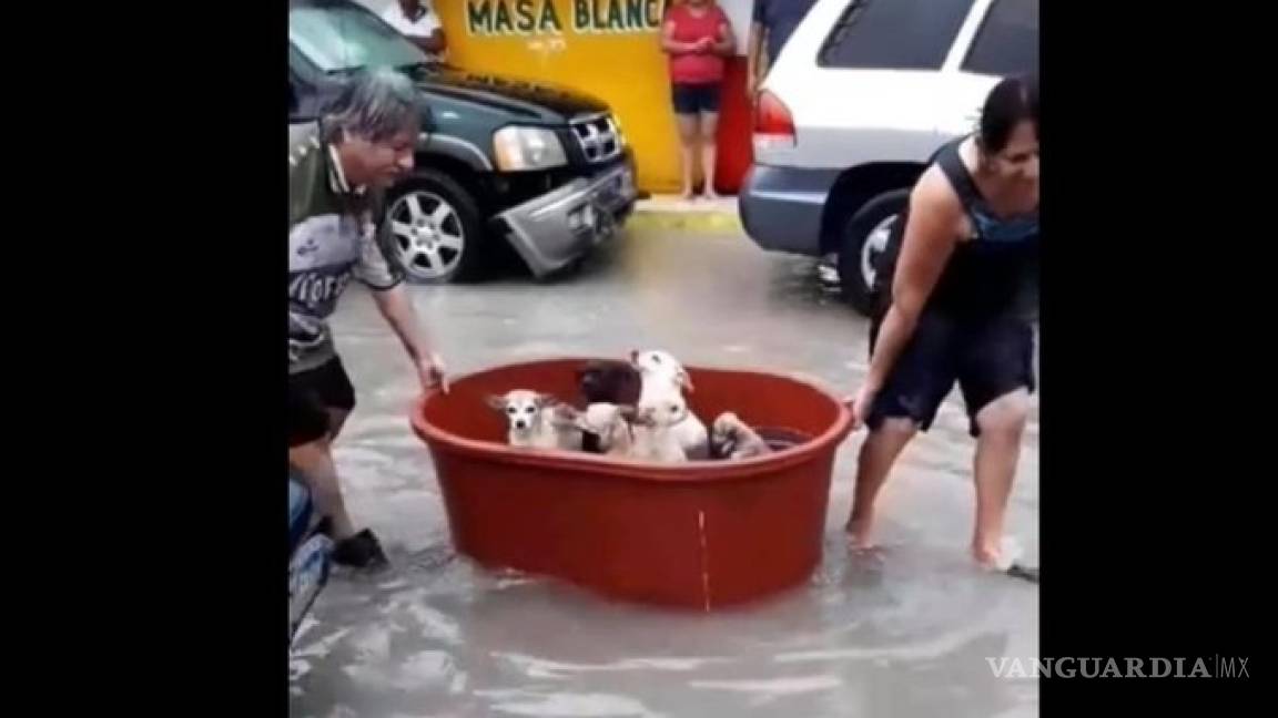 Pierden todo por el huracán Hanna, pero salvan a sus 7 perros