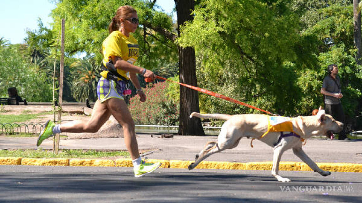 ¡Corra con su mascota! Se realizará mañana la carrera Dog Run de 2 y 5K