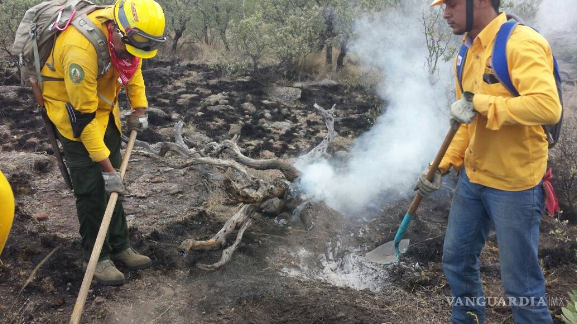 Reportan incendio forestal en Maderas de Carmen, área natural protegida cercana a Múzquiz
