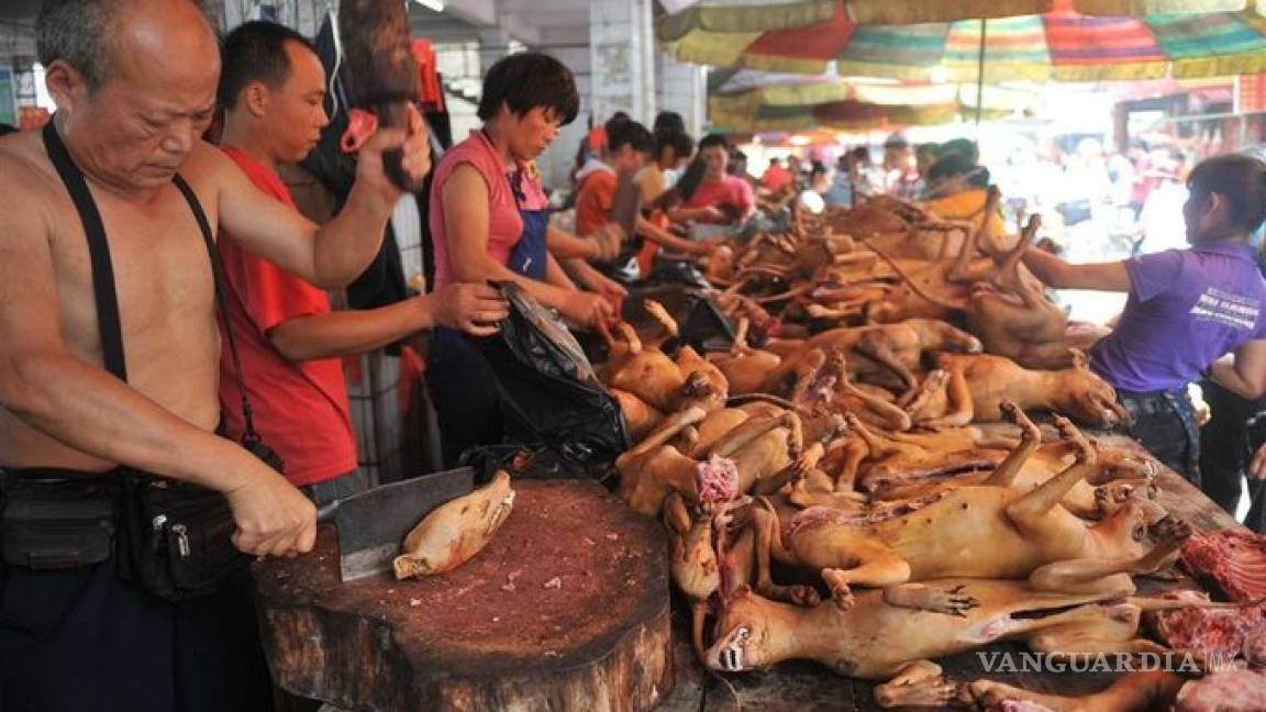 Pese a todo, el festival de carne de perro inició en China