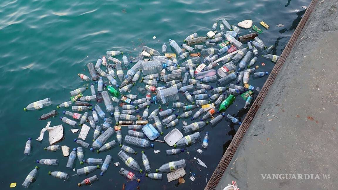Demandan países acciones contra la contaminación de plásticos tras alarmante aumento