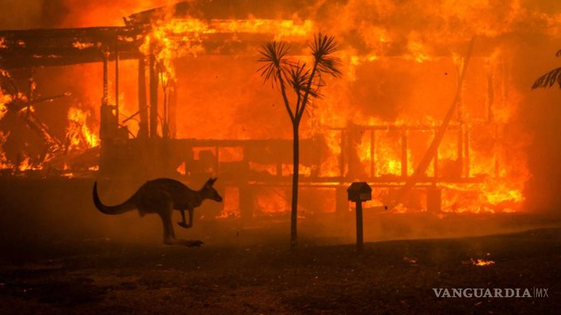 Incendios de Australia reclaman 22 víctimas humanas y miles de hectáreas consumidas por el fuego