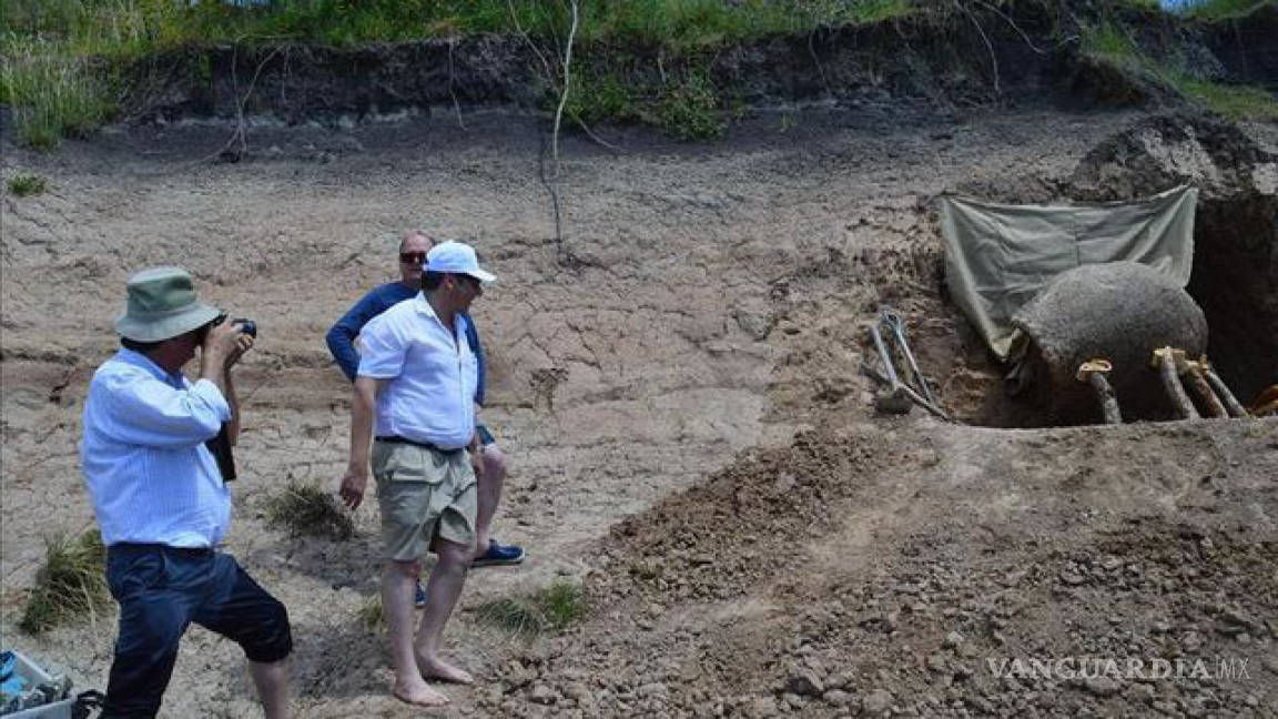Encuentran en Uruguay el fósil de un gliptodonte de unos 16,000 años