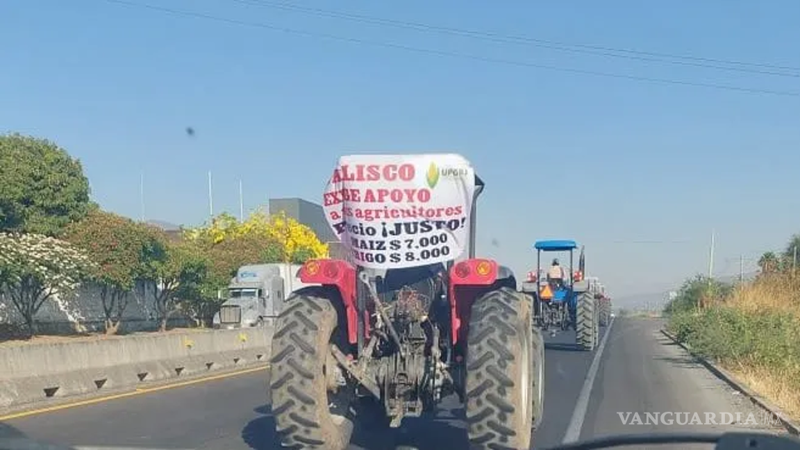 $!Piden que establezcan precios de garantía de 8 mil pesos por tonelada de trigo, 7 mil por la de maíz y 6 mil 500 pesos por la de sorgo