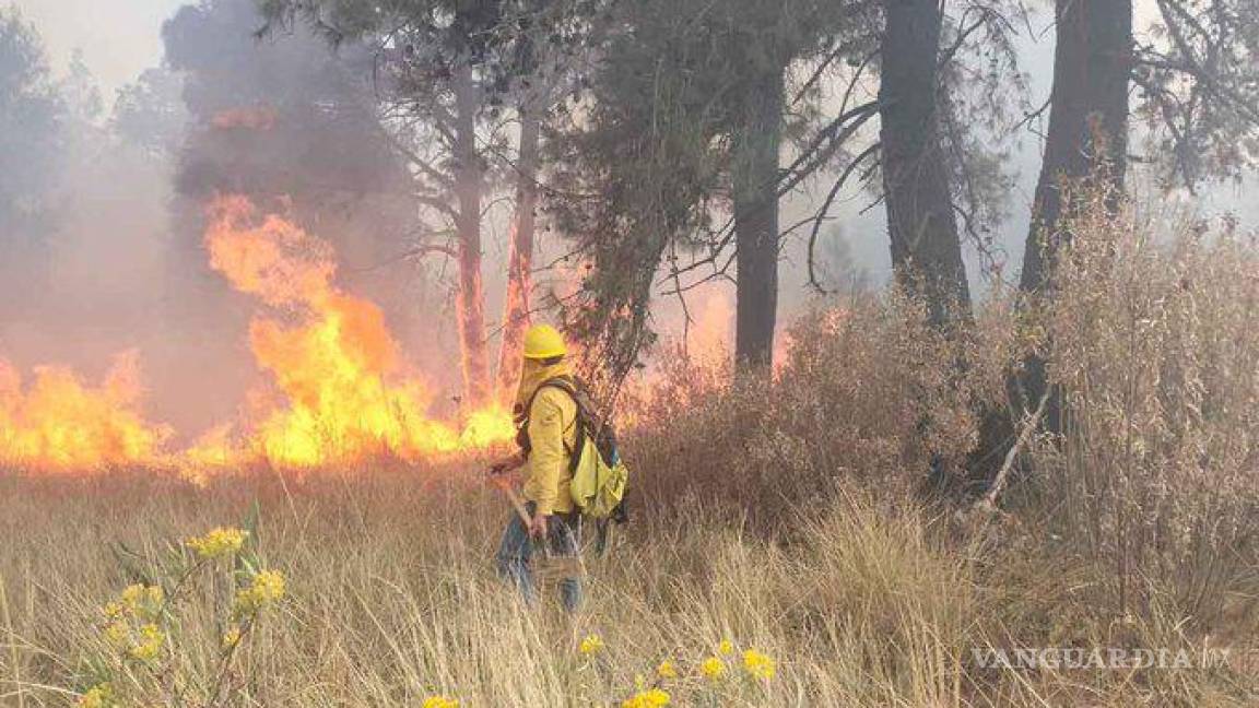 Aumentan los incendios forestales en el país, Conafor reporta casi 200