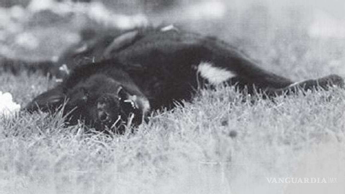 $!Afición invadió la pista en el GP de Australia