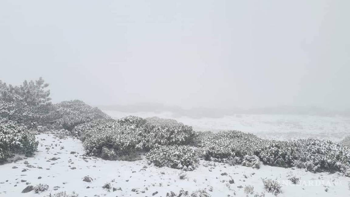 $!Otra vez sur de Nuevo León se tiñe de blanco por caída de aguanieve