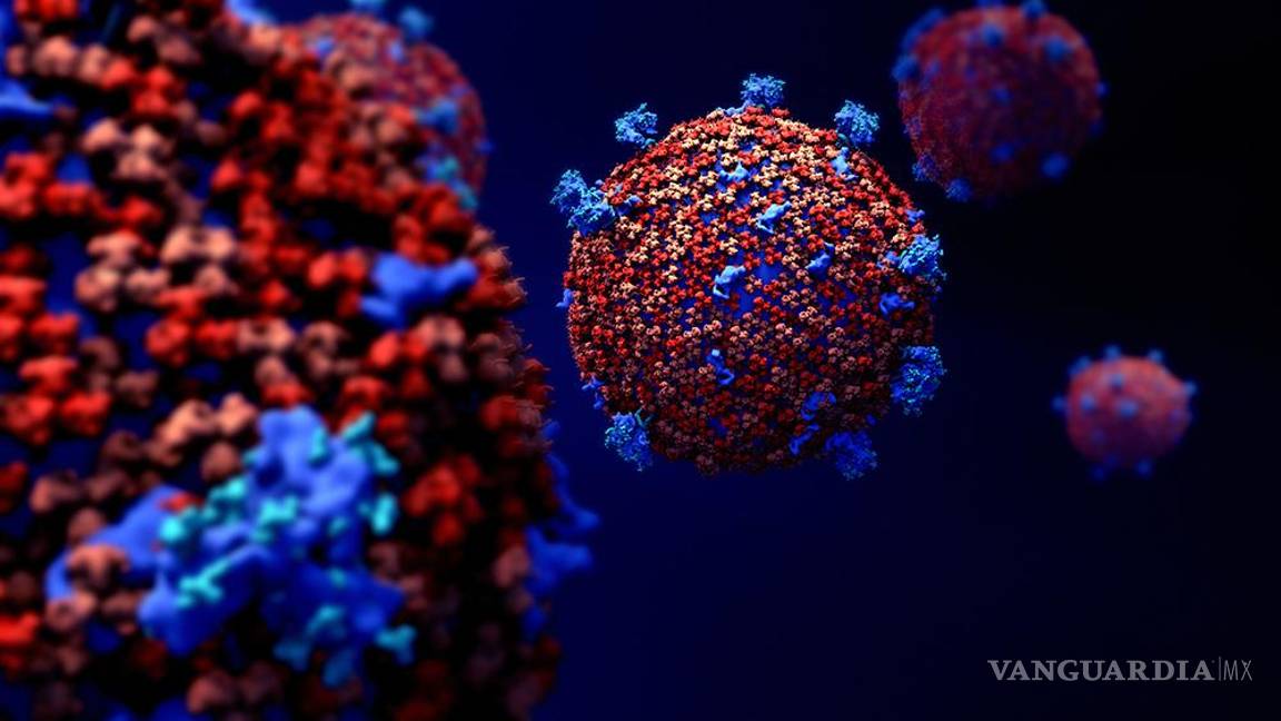 $!Otras agencias estadounidenses atribuyen la propagación del virus a un contagio natural, mientras otros organismos todavía no se han decidido al respecto