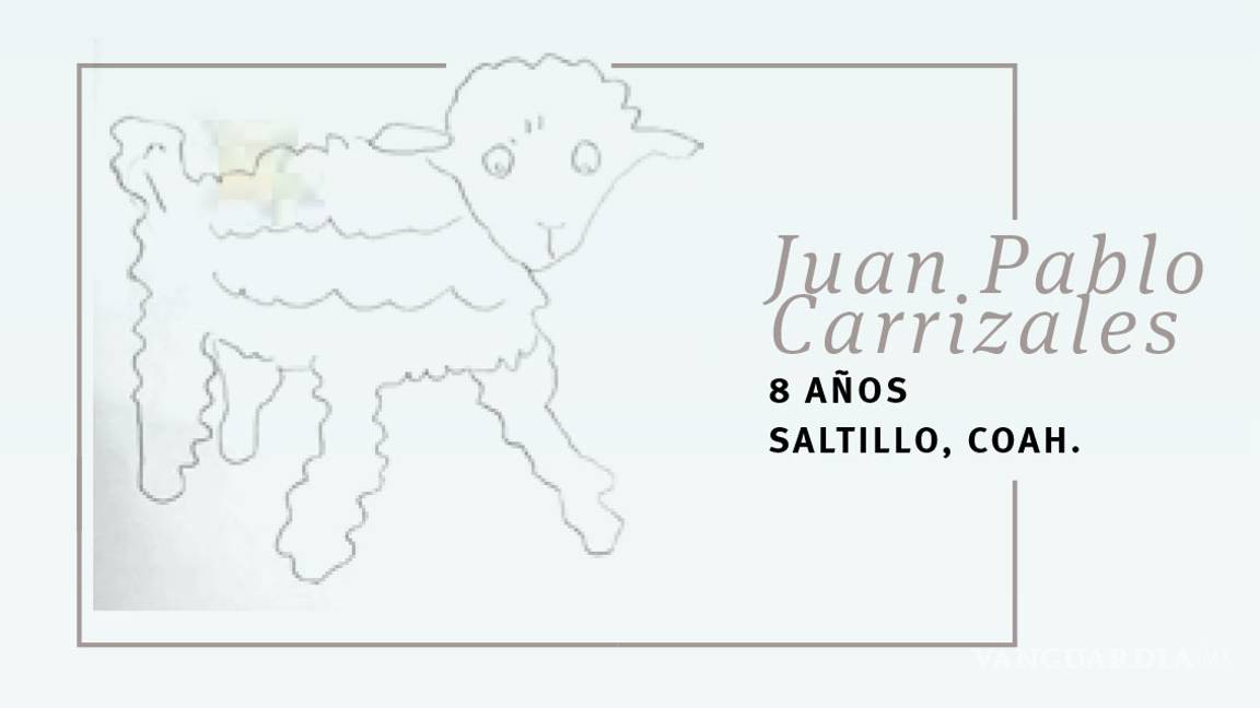 $!A 75 años de la publicación de 'El Principito', pedimos a lectores y colaboradores: 'Por favor... dibújame un cordero!