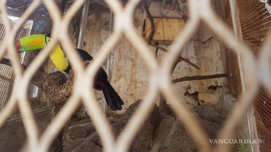 $!Conoce los lujosos ranchos donde se esconde 'El Mencho', líder del Cártel Jalisco Nueva Generación