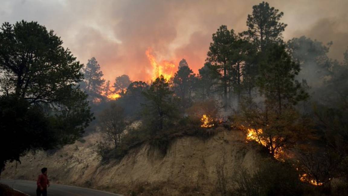 $!Diputados demandan más recursos para combatir incendios forestales, critican falta del FONDEN