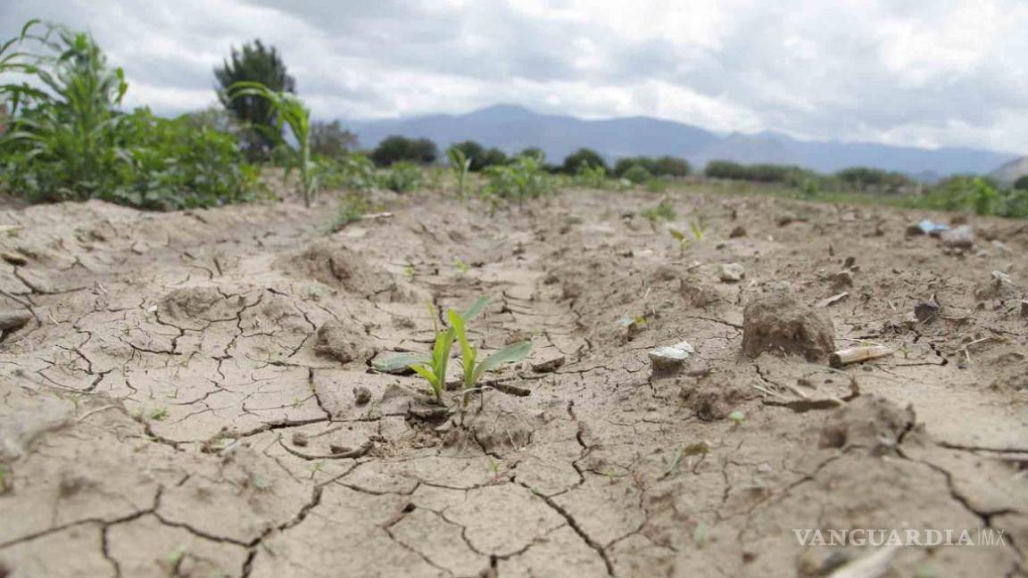 Istmo de Tehuantepec sufre una sequía severa