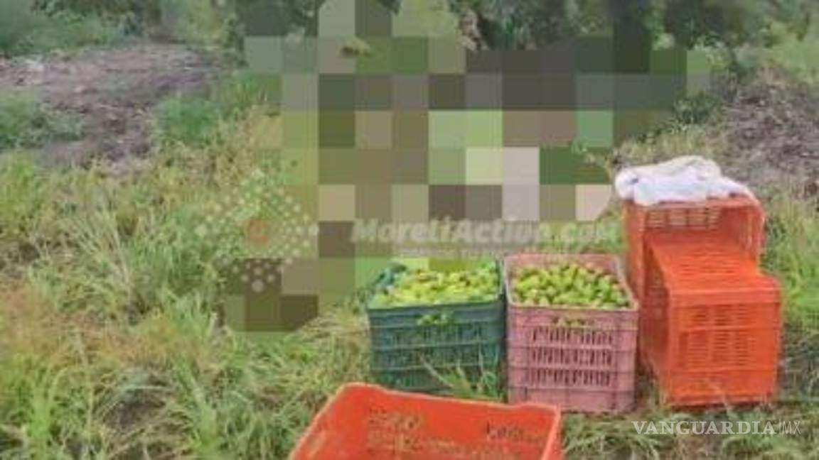 $!Asesinaron a tres jornaleros de huertos de limón en Michoacán