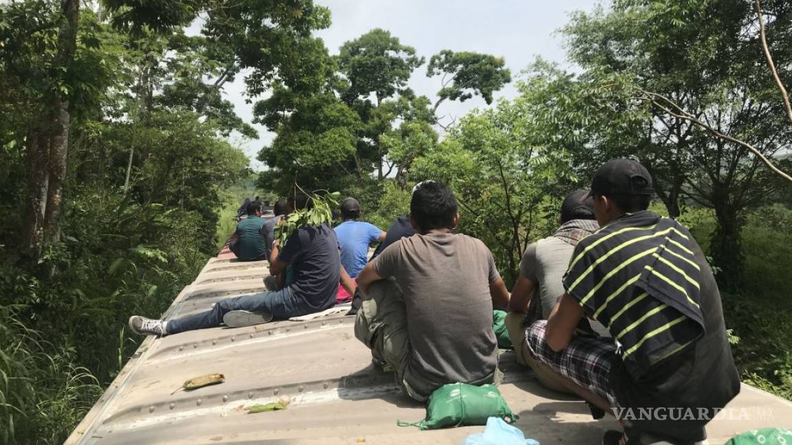 Muere migrante tras caer de &quot;La Bestia&quot; en Veracruz